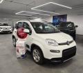 usato FIAT Panda