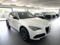 usato ALFA ROMEO Stelvio