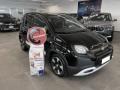 usato FIAT Pandina