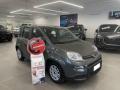 usato FIAT Panda