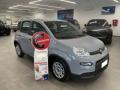 usato FIAT Panda