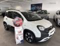 usato FIAT Pandina