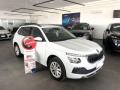 usato SKODA Kamiq