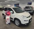 usato FIAT Panda