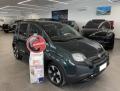 usato FIAT Pandina