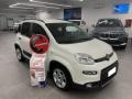 usato FIAT Panda