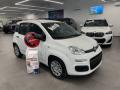 Km 0 FIAT Pandina