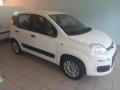 usato FIAT Panda