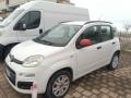usato FIAT Panda