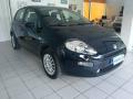usato FIAT Punto