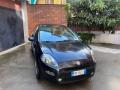 usato FIAT Punto