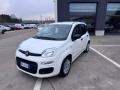usato FIAT Panda
