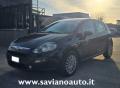 usato FIAT Punto Evo