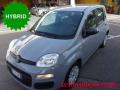 usato FIAT Panda