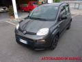 usato FIAT Panda