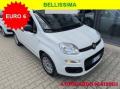 usato FIAT Panda