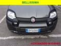 usato FIAT Panda