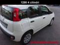 usato FIAT Panda