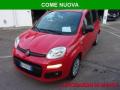 usato FIAT Panda