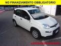 usato FIAT Panda