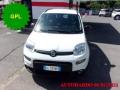 usato FIAT Panda