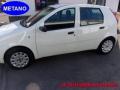 usato FIAT Punto