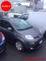usato FIAT Panda