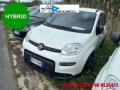 usato FIAT Panda