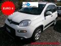 usato FIAT Panda