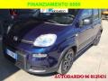 usato FIAT Panda