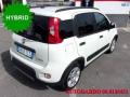 usato FIAT Panda