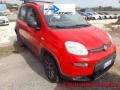 usato FIAT Panda