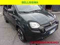 usato FIAT Panda