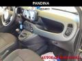 usato FIAT Panda