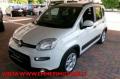 usato FIAT Panda