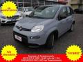 usato FIAT Panda