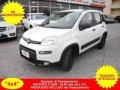 usato FIAT Panda