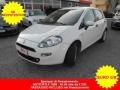 usato FIAT Punto