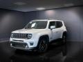 usato JEEP Renegade