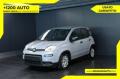 usato FIAT Panda