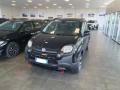 usato FIAT Panda Cross