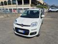 usato FIAT Panda