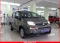 usato FIAT Panda