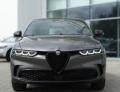 usato ALFA ROMEO Tonale