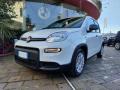 Km 0 FIAT Panda