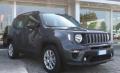 usato JEEP Renegade