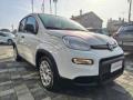 usato FIAT Panda