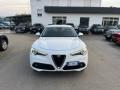 usato ALFA ROMEO Stelvio