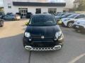 usato FIAT Panda Cross