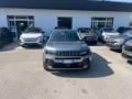 usato JEEP Avenger